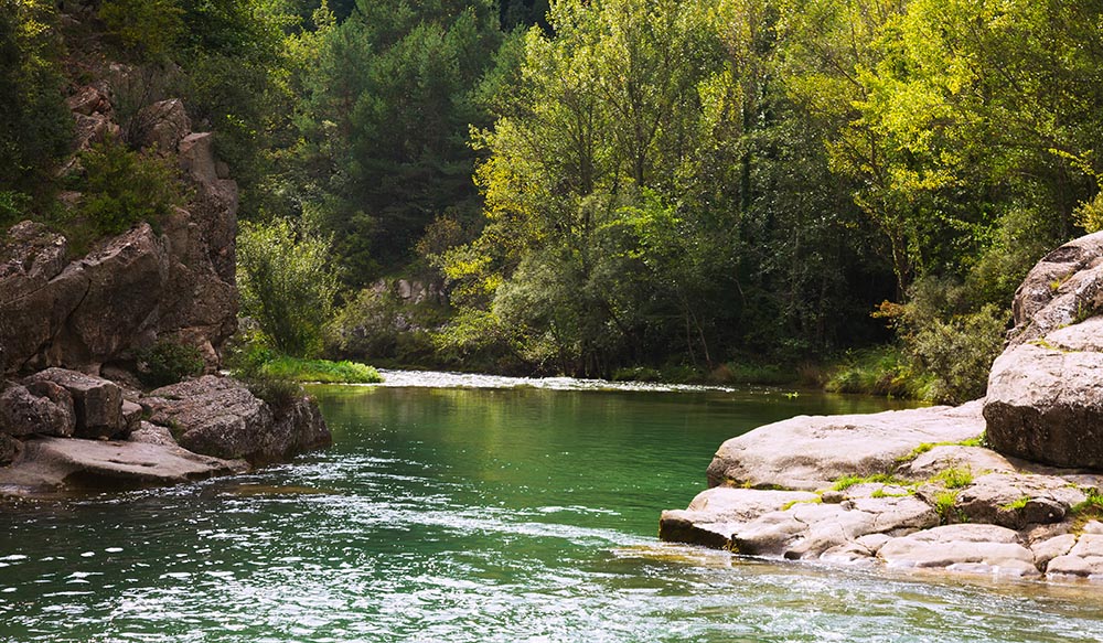 Mountains river with rocky riverside.  Pyrenees